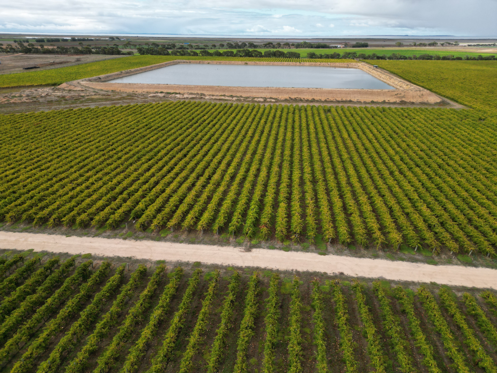 A field with rows of plants and a large, rectangular reservoir of water.