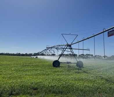 Fields of crops being watered by large machinery
