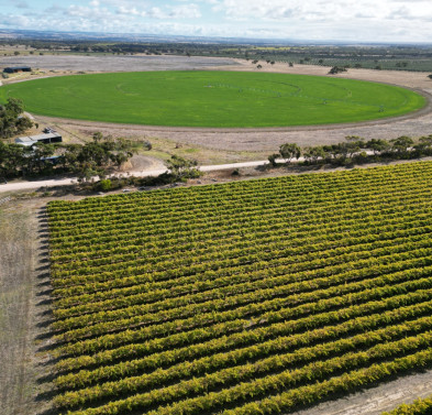 A rectangular section of plants in rows, with a circular area of plants in a field nearby